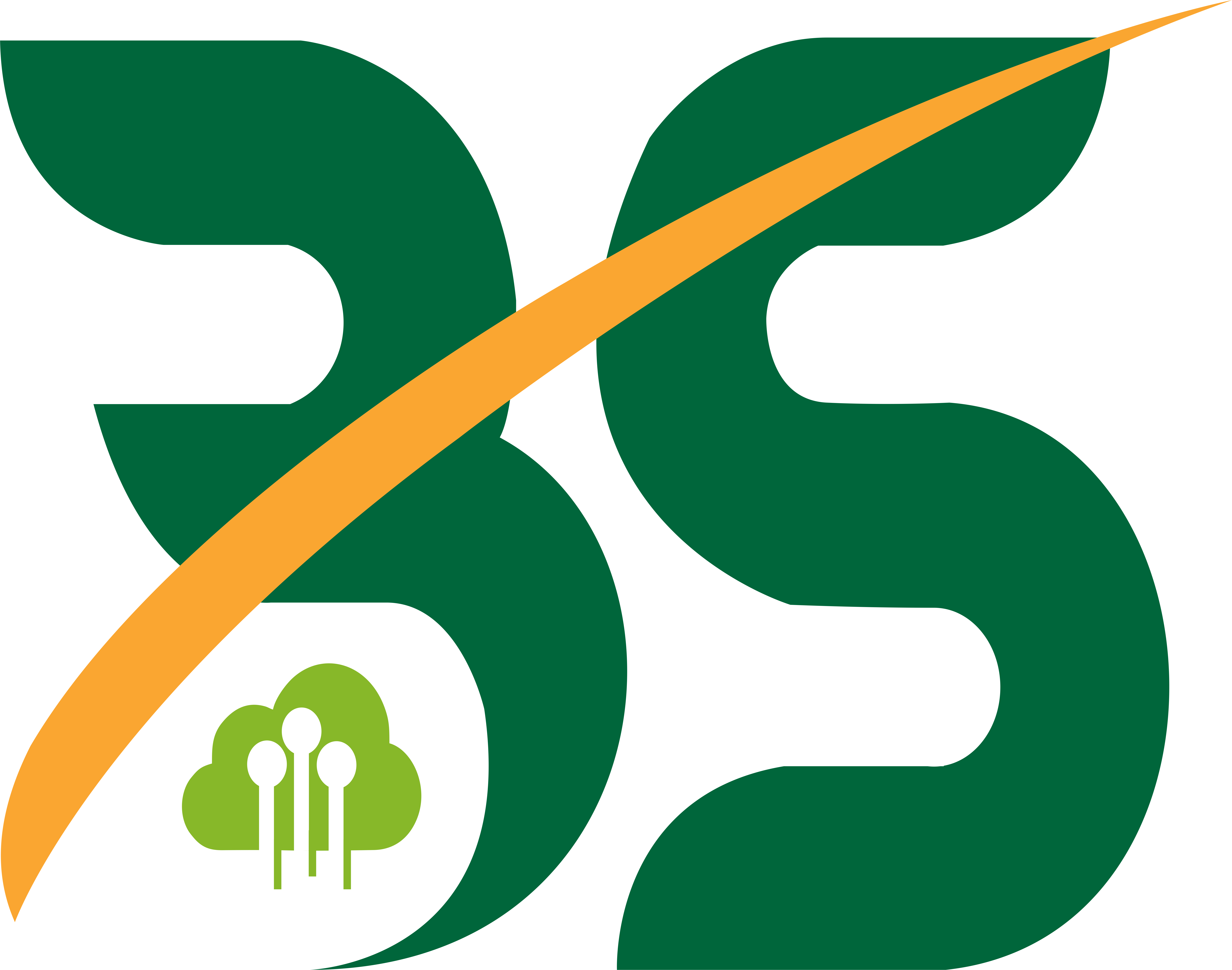 Burhani Software Solution Logo