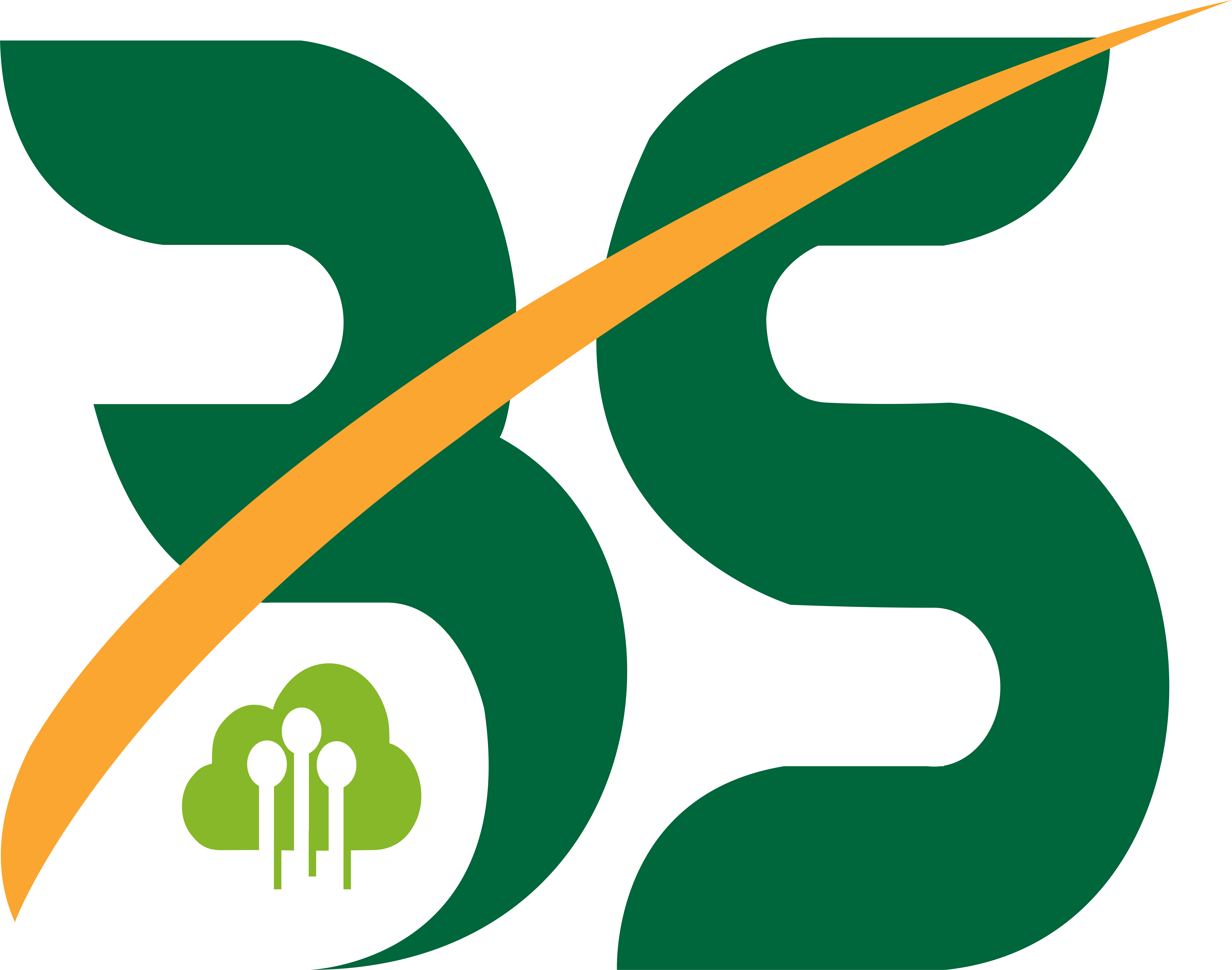 Badshah Software Solution